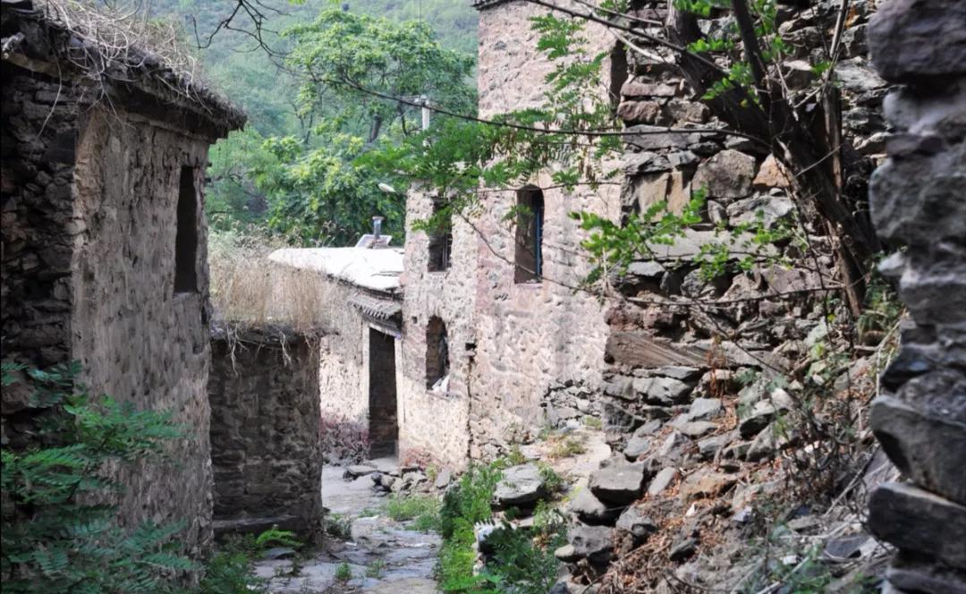 老太含泪扔下猫进城，猫妈带着小猫，在洞里挨饿，恶蟒蛇还来祸害