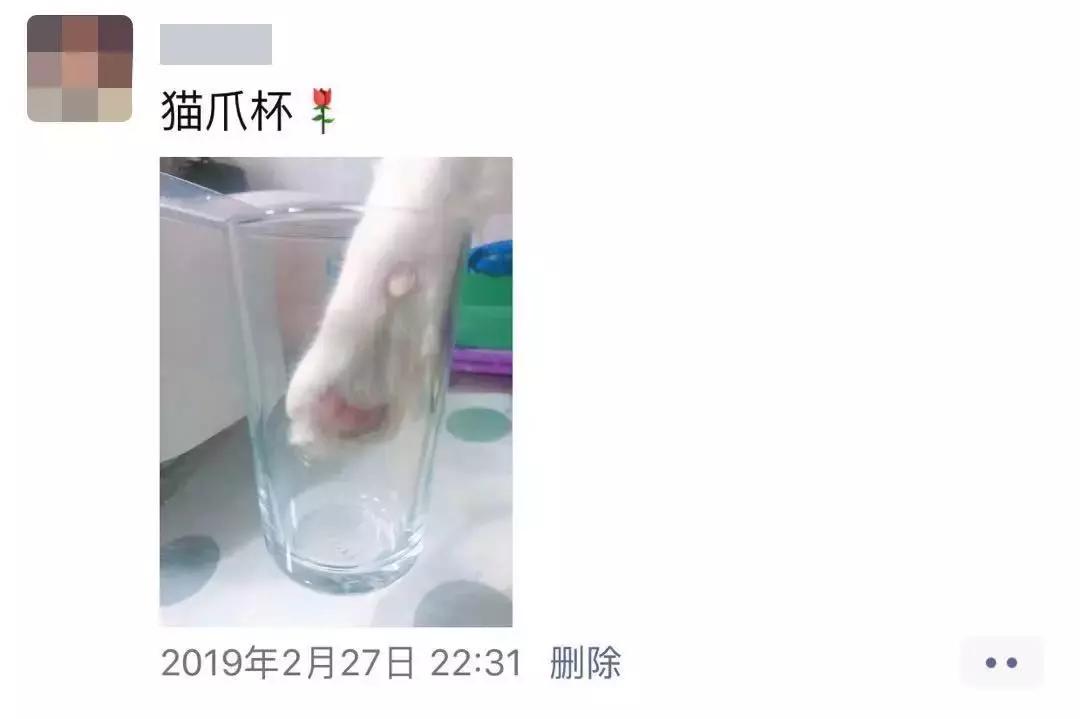 我跟中产的唯一联系，可能是养猫