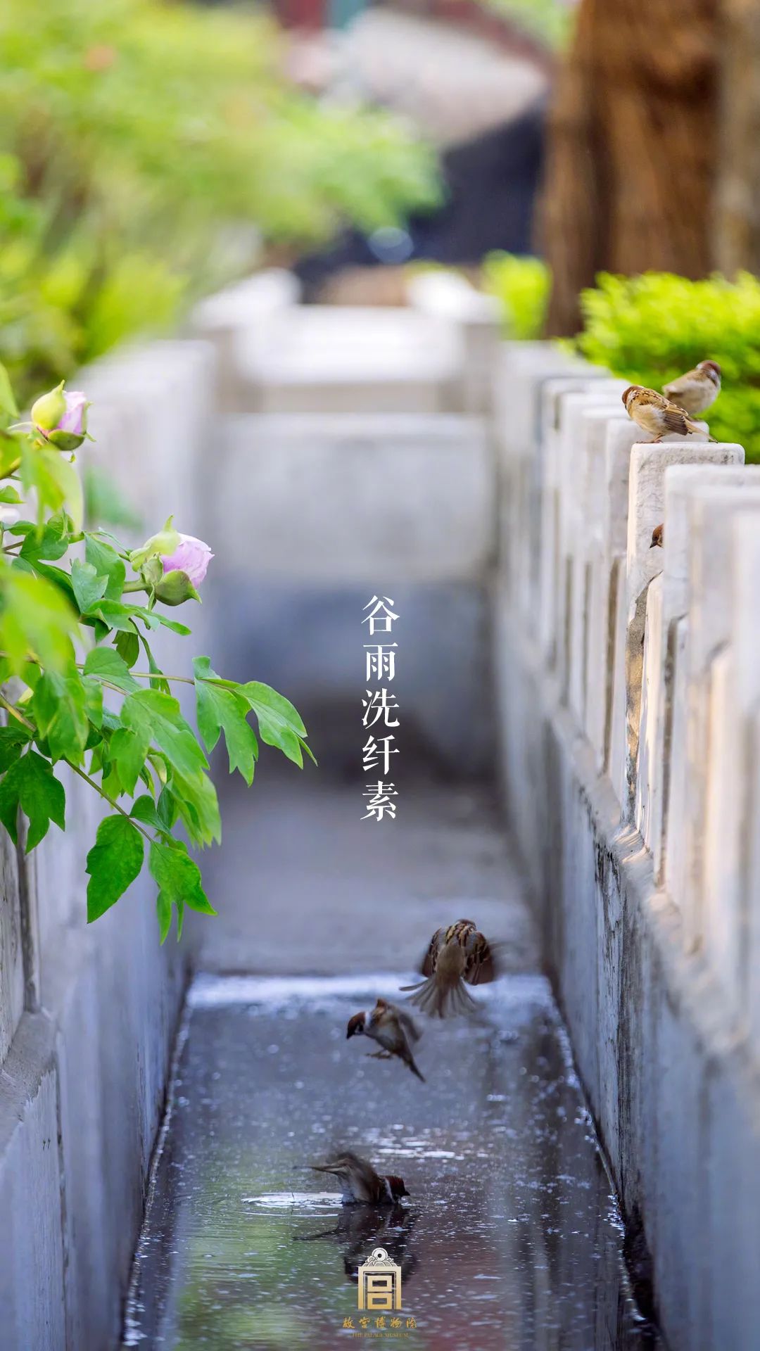 谷雨|乘愿而来，刷新我们的世界