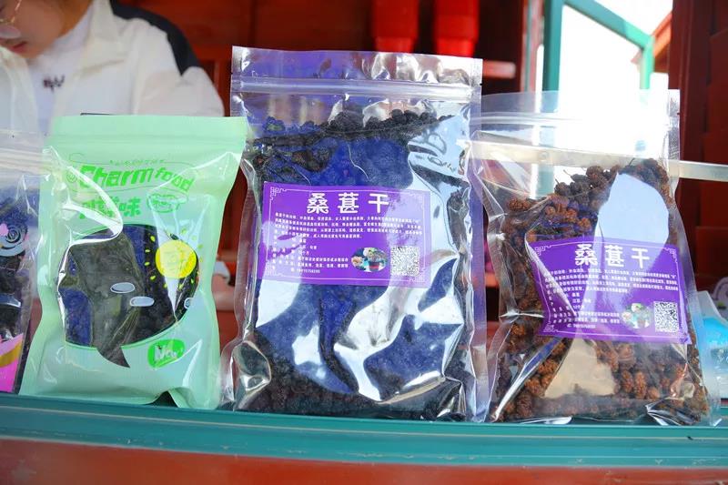 八方游客齐聚桑果紫酒节，共赴这场采桑品酿盛会