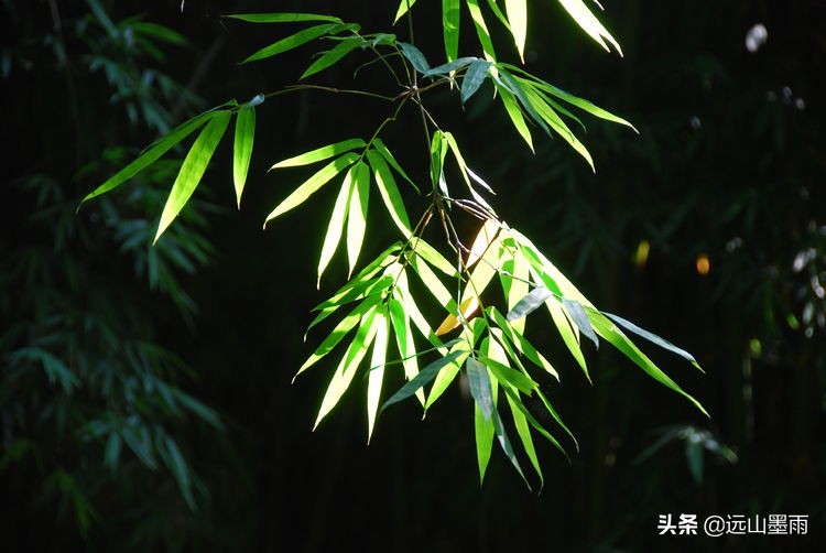 昆明嘉丽泽小镇旅游,昆明嘉丽泽水乡