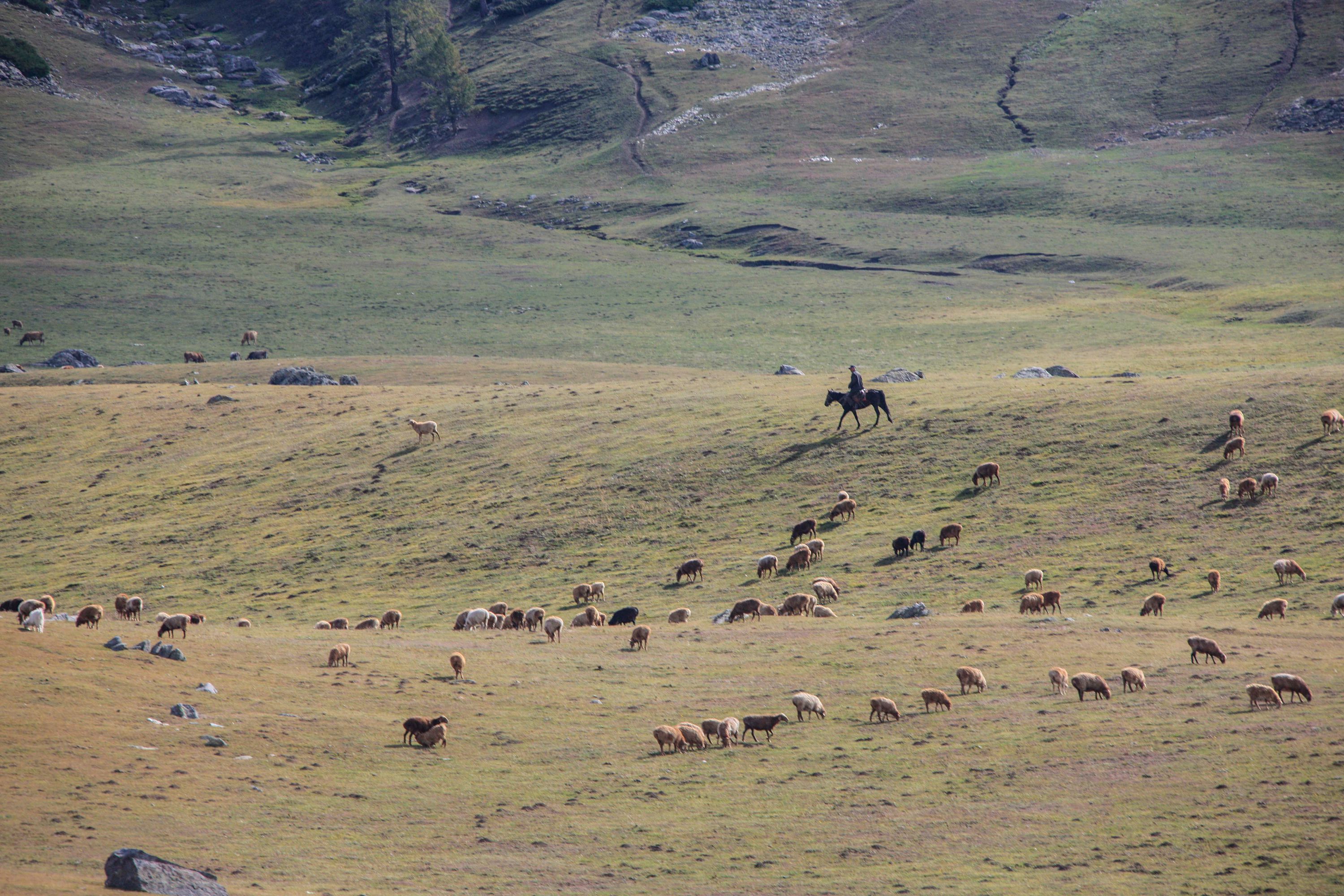 南山牧场，未曾改变的山水未曾改变的哈萨克人，织成的画卷真美