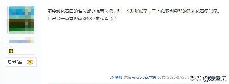 恐龙蛋化石手串,带恐龙化石手串