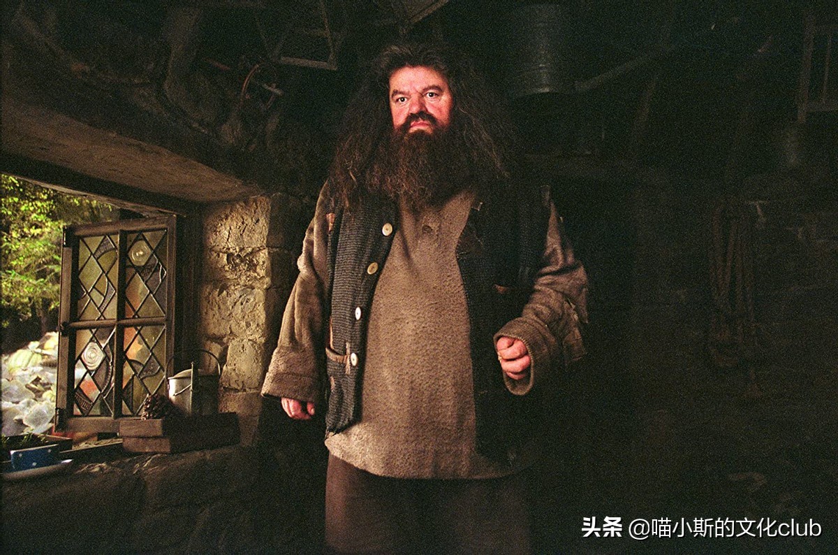 哈利波特：都是被学校开除，为什么纽特可以保留魔杖，海格不行？