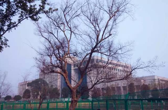 坐拥神仙颜值！原来，这就是中南大学的最美校花！