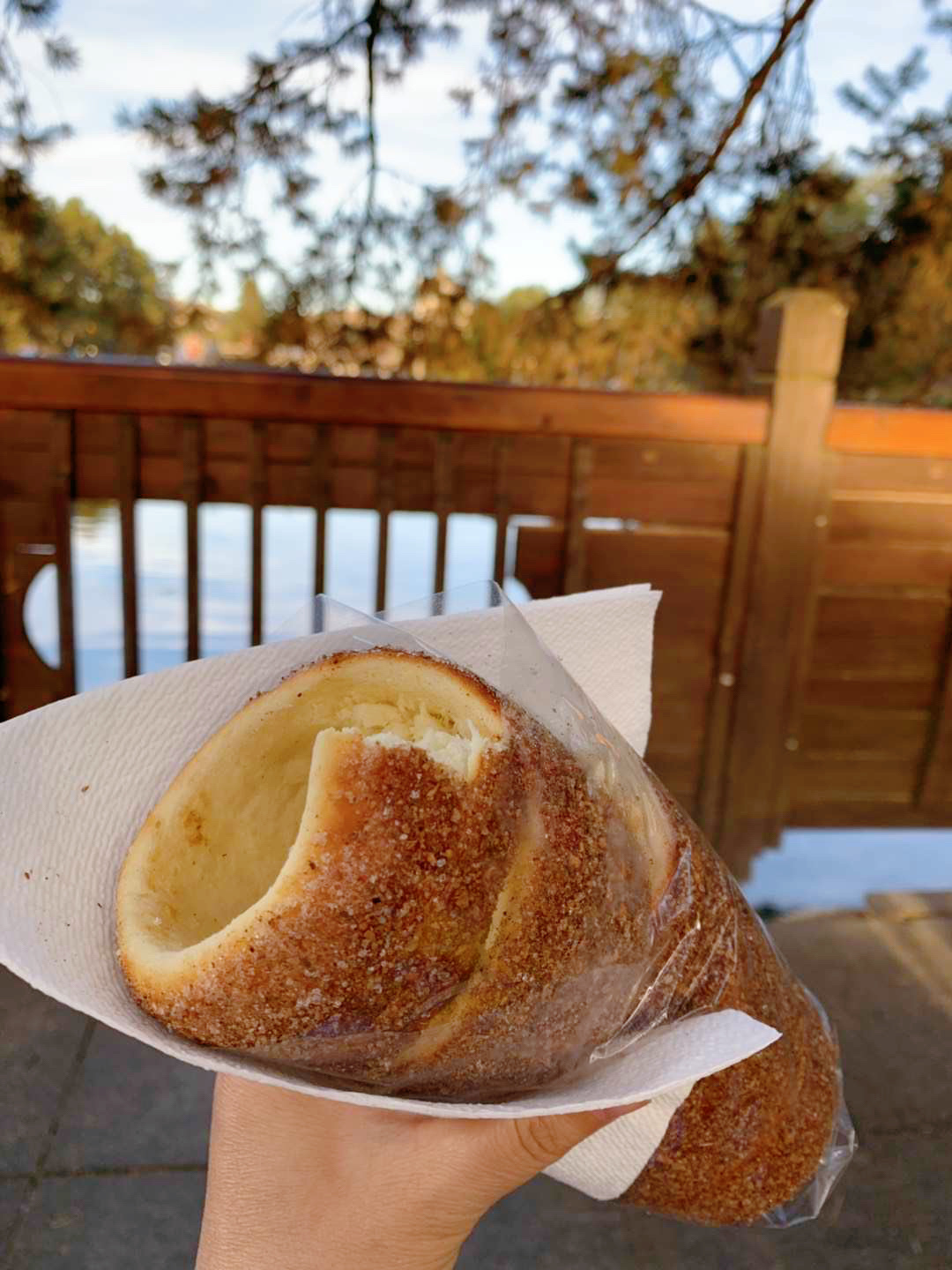 足球少年的小木屋很酷、“圣诞小镇”的秋天很美