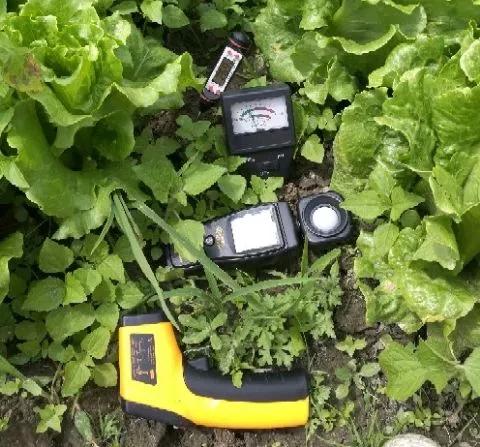 让农业真正回归照顾生命