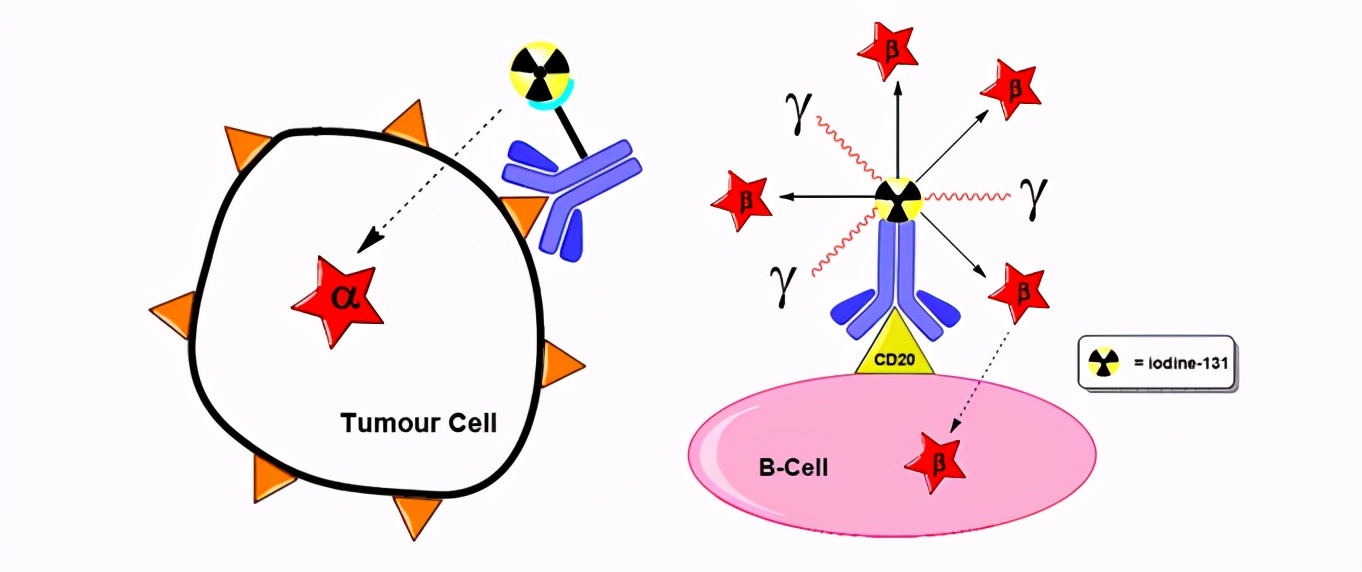 鏍哥礌rdc,鏍哥礌鍋惰仈鑽墿姒傚康