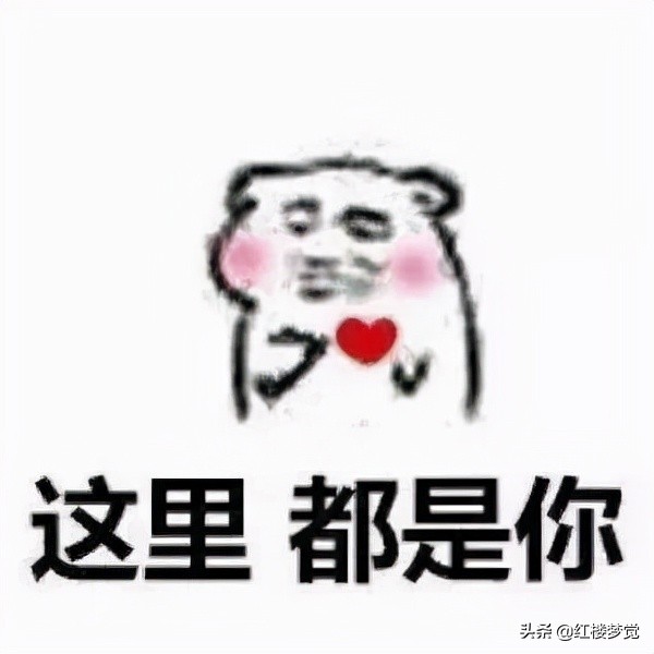 红楼梦是一部什么样的小说,红楼梦是纪实小说吗