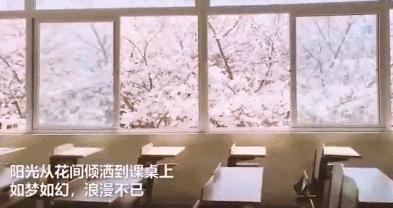 不输日本的3个赏樱地,何必舍近求远国内10大赏樱胜地