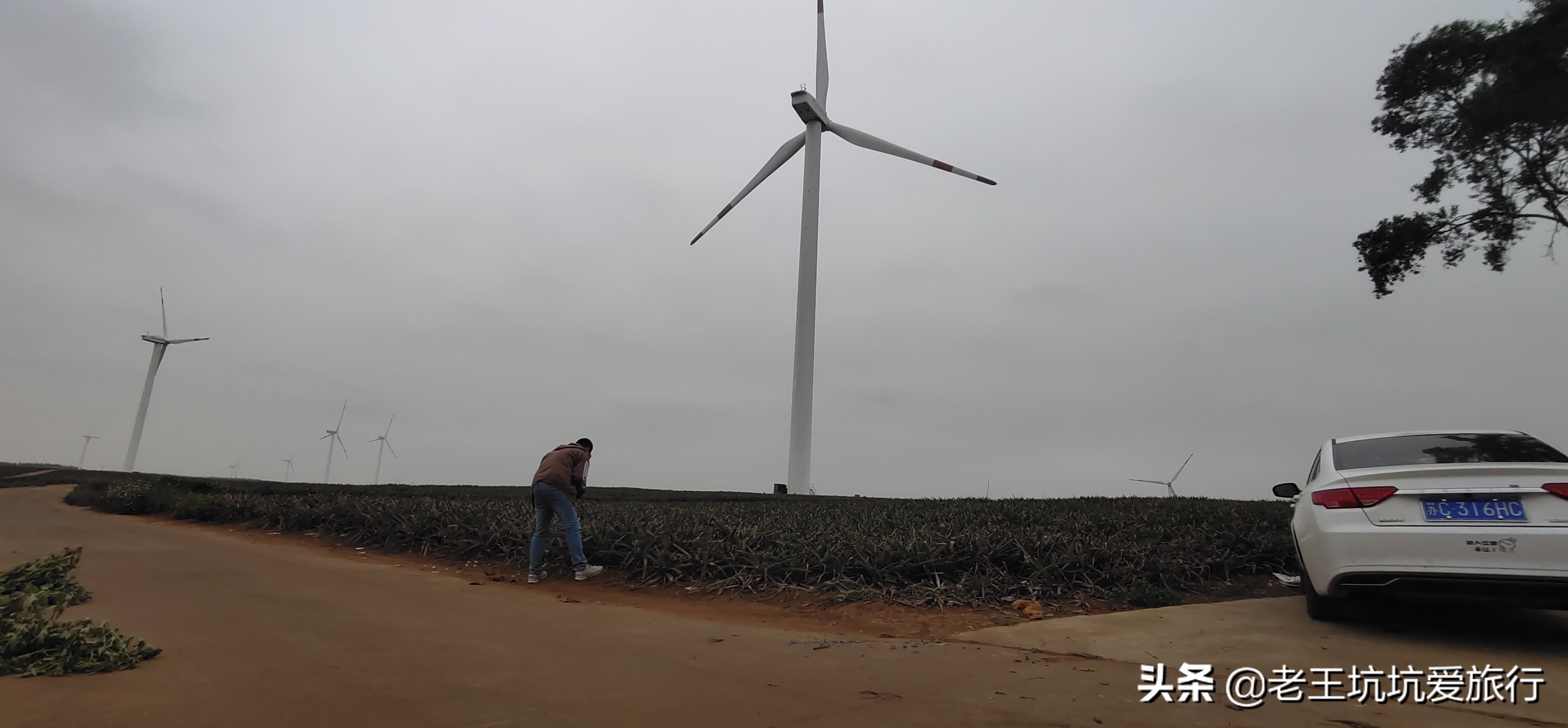 无锡自驾去三亚旅游,俩人一车去旅行