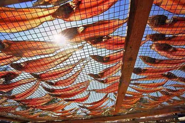 舟山春节可以玩什么,舟山春节游玩好去处