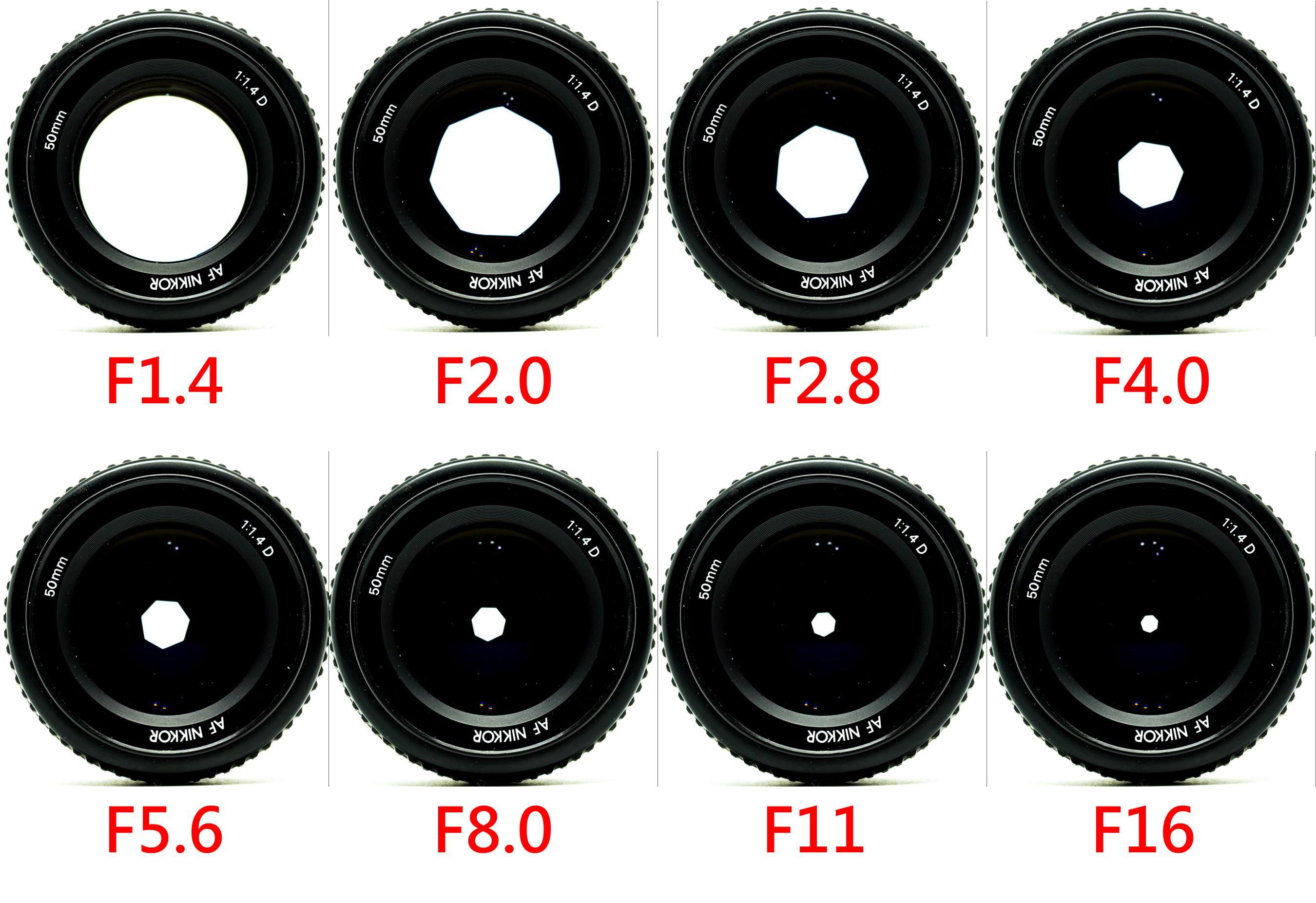 通俗讲解光圈的作用,光圈的运用视频