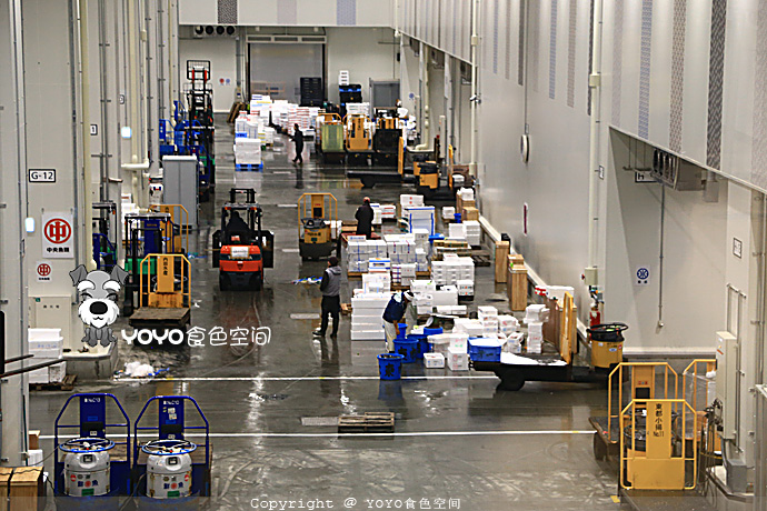 挪威自由行游记,挪威三文鱼远洋