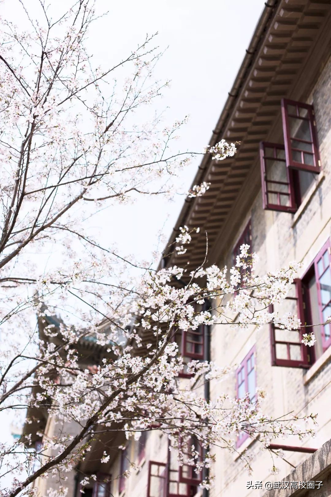 爸妈我想回家视频,爸妈我想回家了原视频