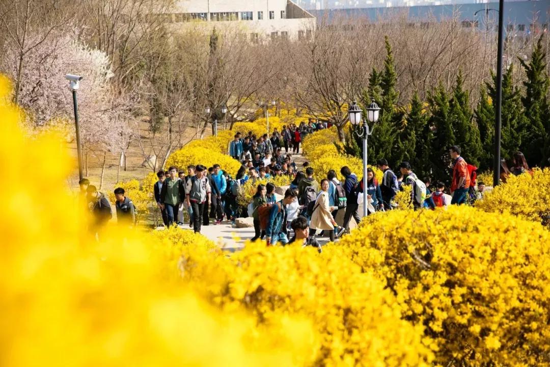 辽宁大连民办大学,大连辽宁二本大学