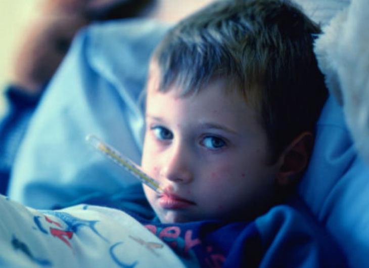 退热贴到底有没有用,退热贴到底有用吗