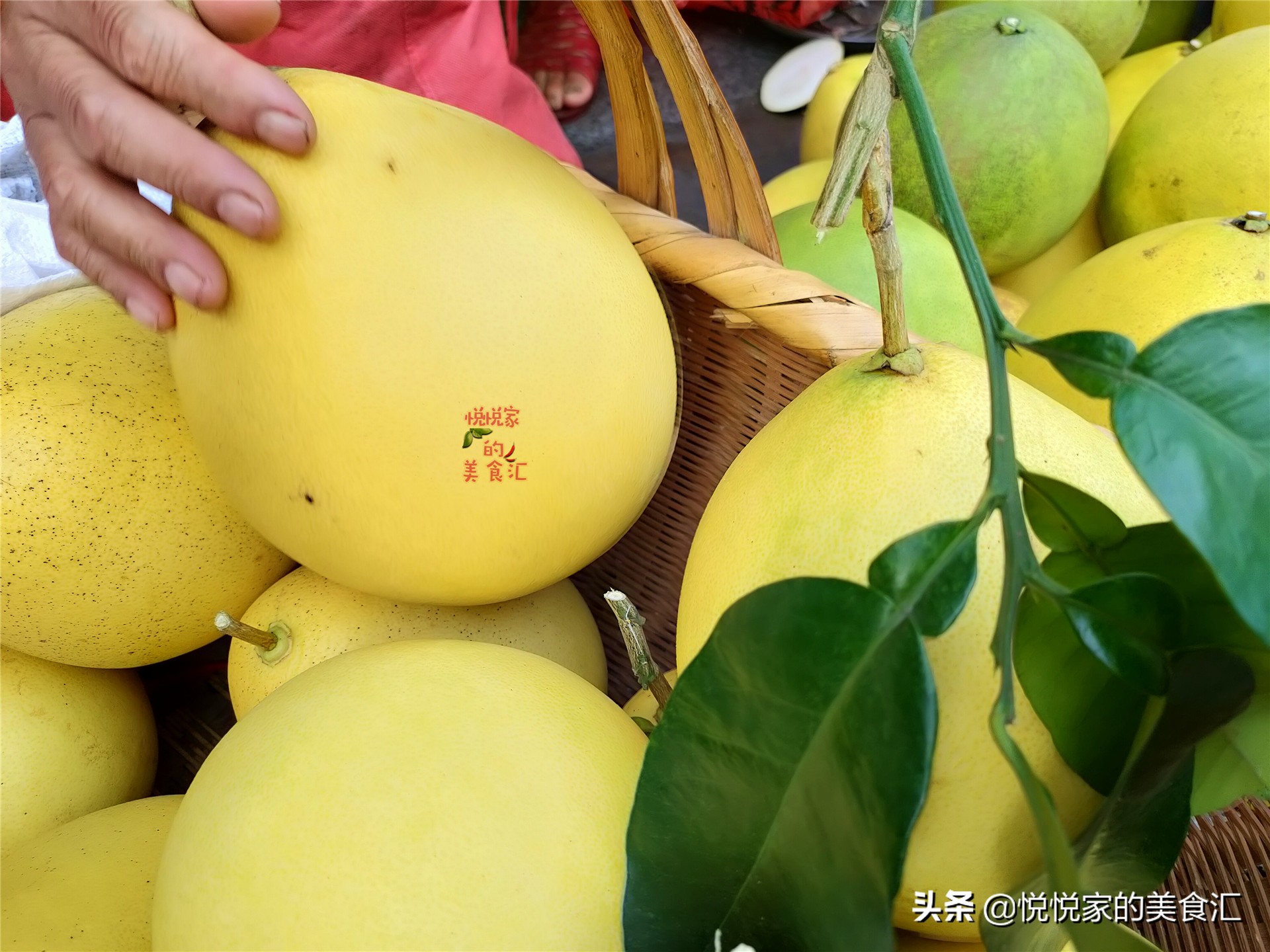 怎样挑柚子才好吃,柚子怎么挑选好吃又多汁