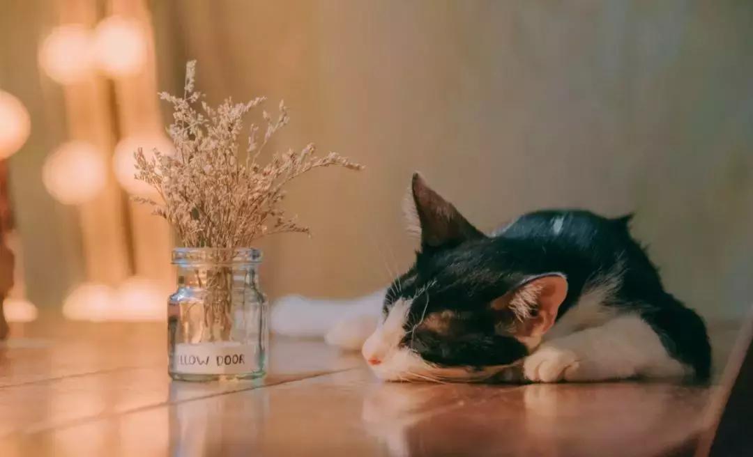 合众e贷是哪个公司,合众e贷上征信吗