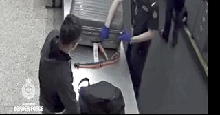 澳洲禁止入境物品最新规定,7月1日起这些物品不能上火车