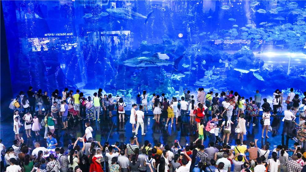 双流最好耍的湿地公园,成都双流打卡公园