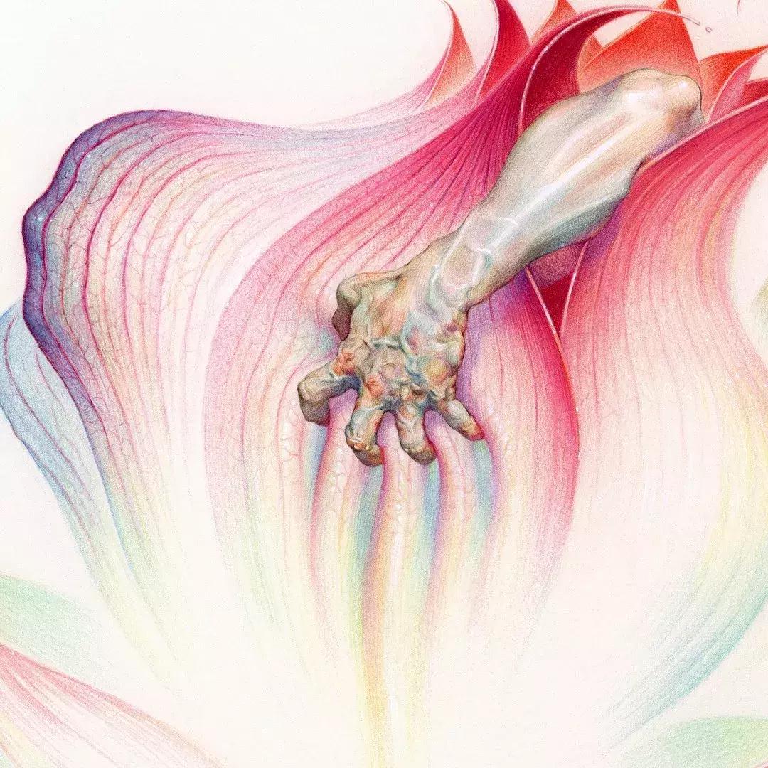 人体彩铅,人体五官彩铅