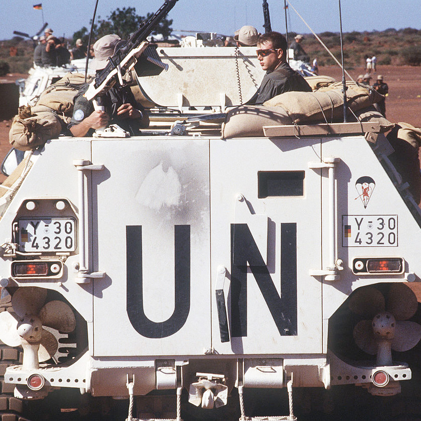 索马里平头哥,索马里平头哥近况