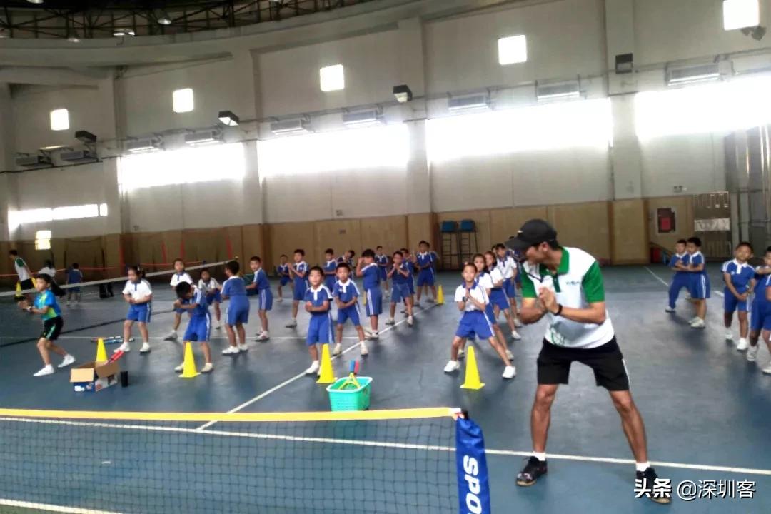 网球深圳哪里有,网球羽毛球棒球哪个最快