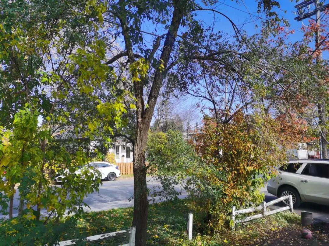 美国f1签证入境流程,签证过了如何拿到护照