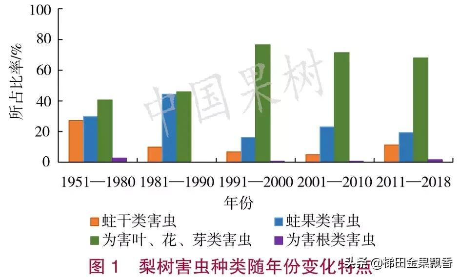 梨树花序分离期病虫害,梨树刺吸式害虫危害幼果