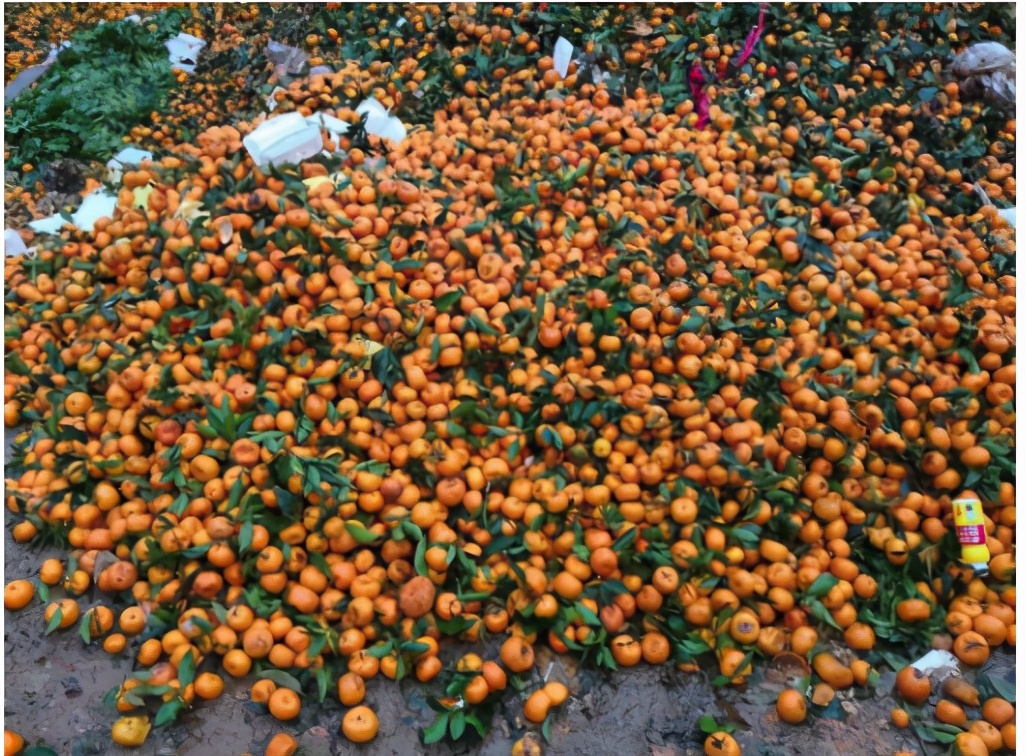 水果店推出5元随便拿活动,开一家水果店的盈利模式