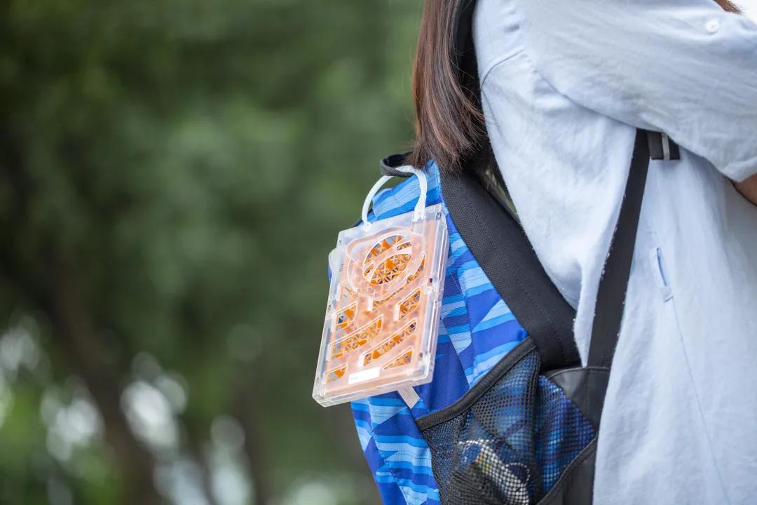 日本折叠蚊帐家用2022新款免安装,秒杀夏季防蚊折叠蚊帐