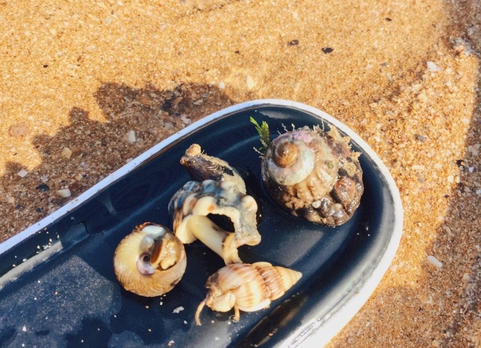 这座海岛我做好了攻略，适合约上最好的朋友一起去