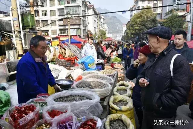 三穗县城几号赶场 (三穗赶场视频完整版)