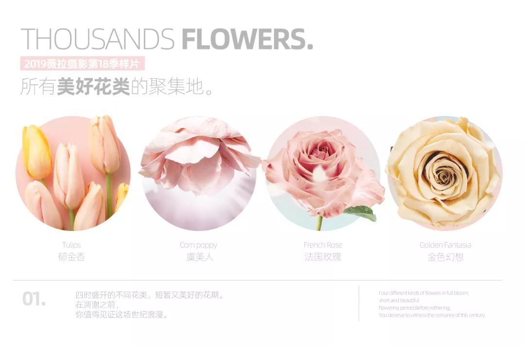 夏天适合拍婚纱照的景点,冬天拍婚纱照的最佳地方