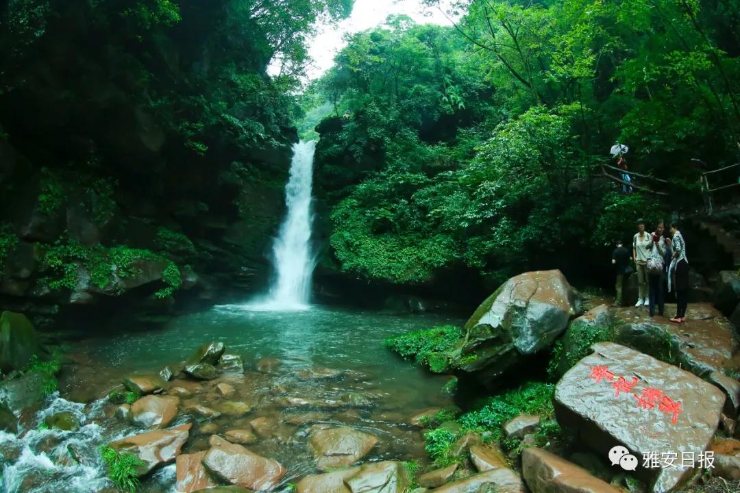 来雅安旅游,雅安二郎山休闲特色民宿