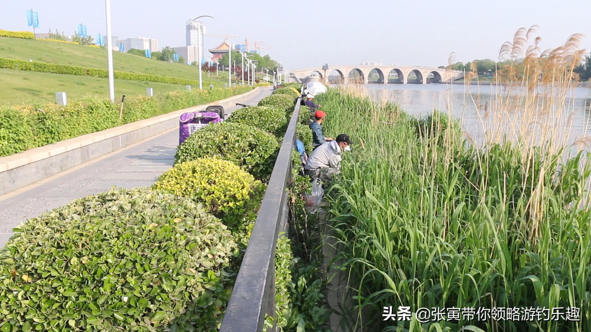 产卵期的鱼为什么那么难钓,繁殖期的鱼还能钓吗