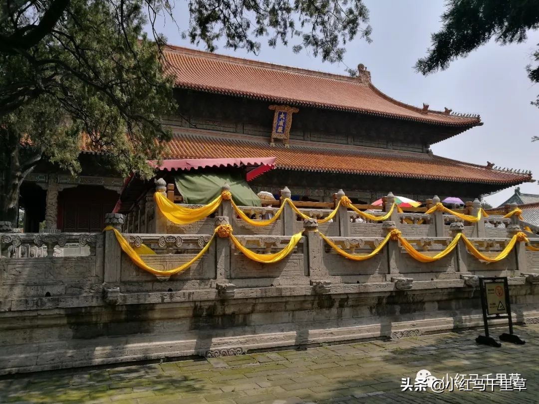 曲阜孔府孔庙孔林历史背景,曲阜孔府孔庙孔林一游