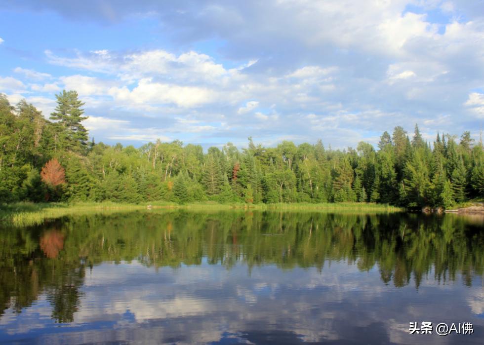 美国最受欢迎的五个州,美国最受欢迎的景点排行榜