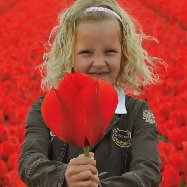 閮侀噾棣欑鐞冪殑鍏绘姢鏂规硶,姘村煿閮侀噾棣欏彂鑺藉悗鍏绘姢