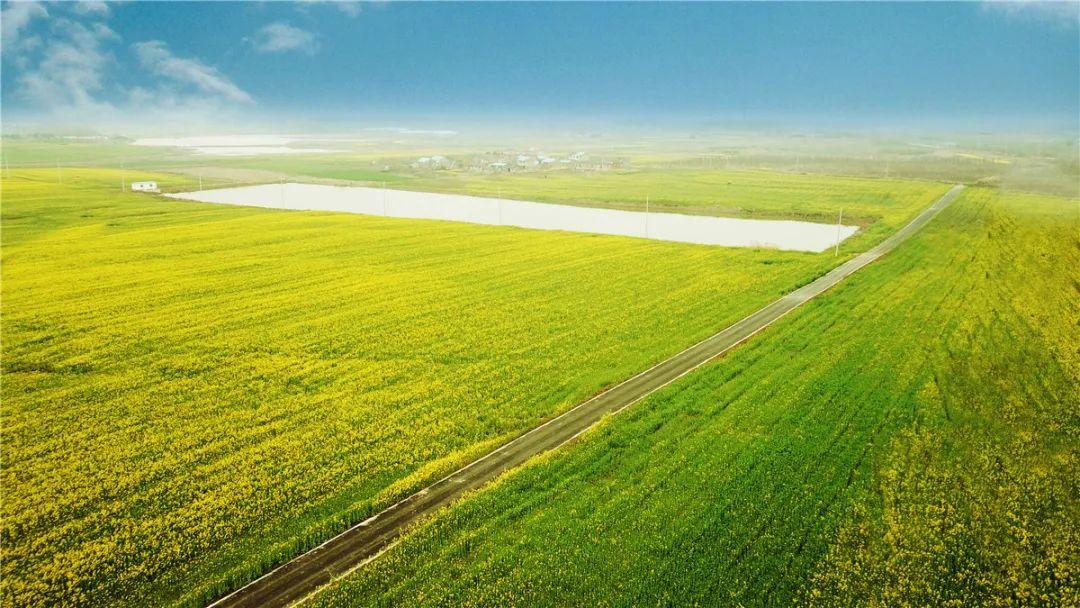 鎬讳环5瀛楀ご璧锋姠澶紒璞畢,棣栦粯5涓囪捣鎶㈤珮鏂板尯鏍稿績娲嬫埧