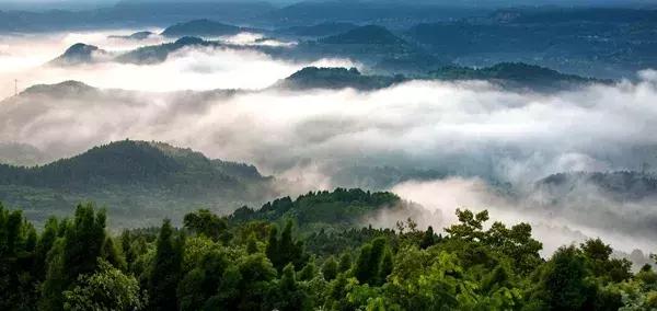 我说龙泉驿，你说好安逸！这座城的命运，正被幸福改写