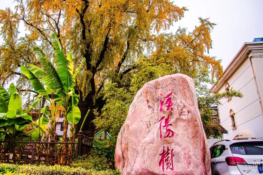 武汉11月打卡景点和网红地,武汉50个值得打卡的地方