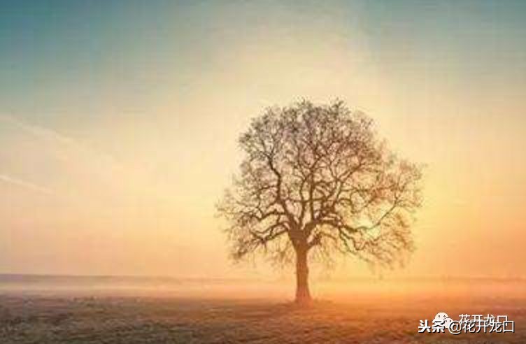 不能把话说得太满,不要把话说得太满了