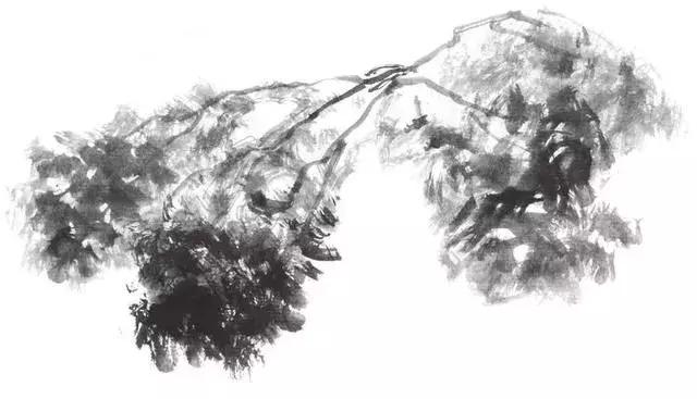 白描荷花的画法图片,如何画荷花白描大片