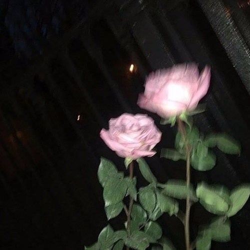 朋友送自己奶茶发朋友圈文案,喝奶茶发朋友圈文案短句可爱