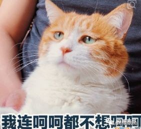 李胜利引发韩娱圈大地震，有谁还记得十年前自杀身亡的张紫妍？