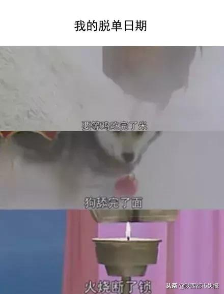 冲鸭开饭了表情包,肖战冲鸭表情包