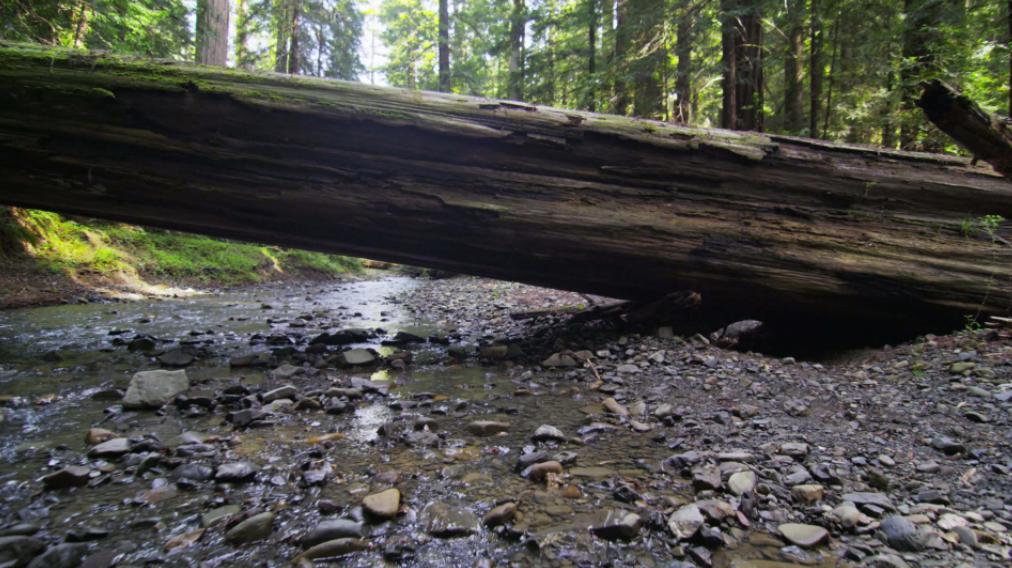 面部支架手术危险吗,做完面部支架有什么注意事项