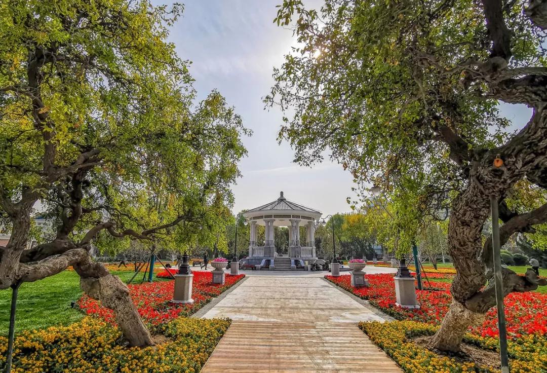 天津2022年四月开放的公园,期待天津这里将再添一片绿洲